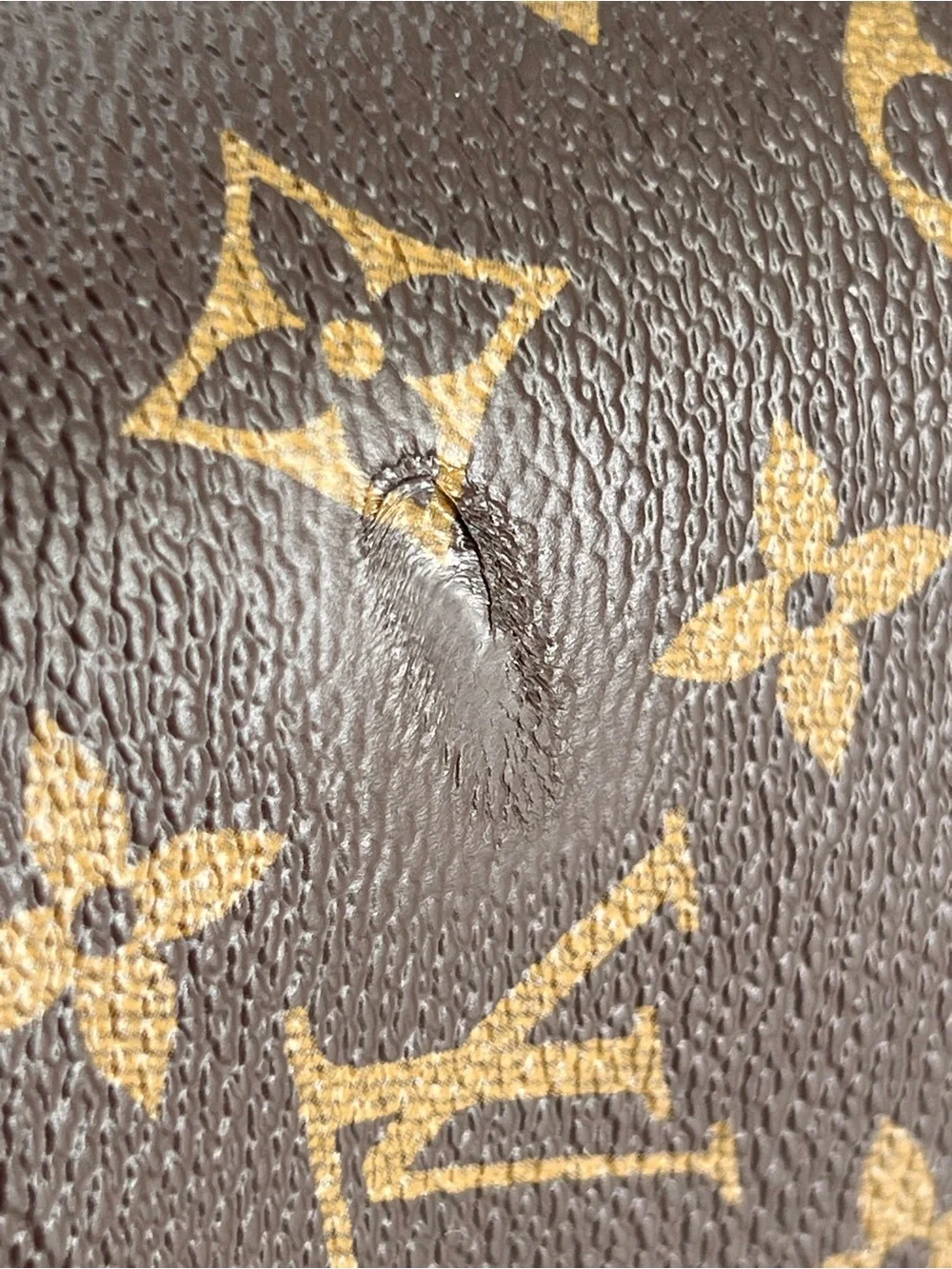 Louis Vuitton Monogram Nice Vanity Bag